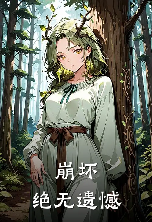 崩坏：绝无遗憾