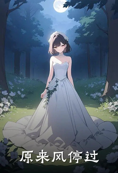 原来风停过