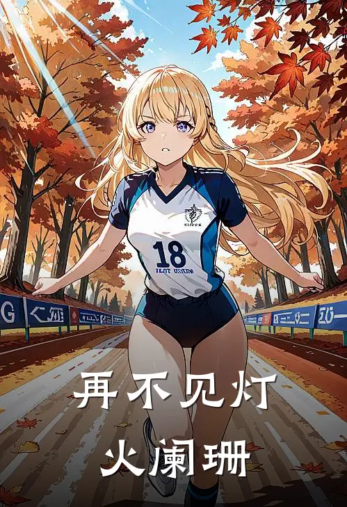 再不见灯火阑珊